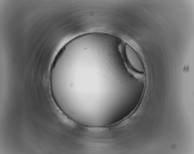 X0000096181200200802011334