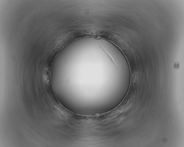 X0000096181202200802011334