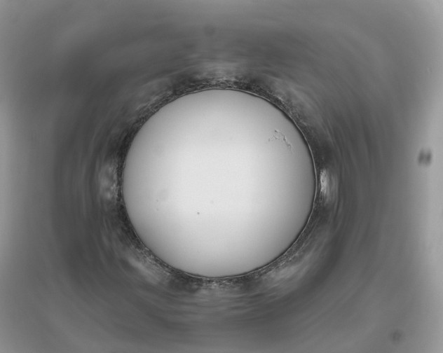 X0000096181203200802011334