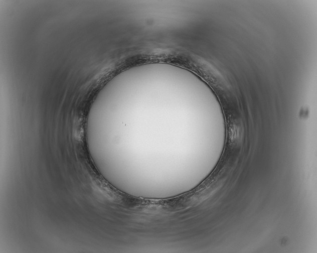 X0000096181204200802011334