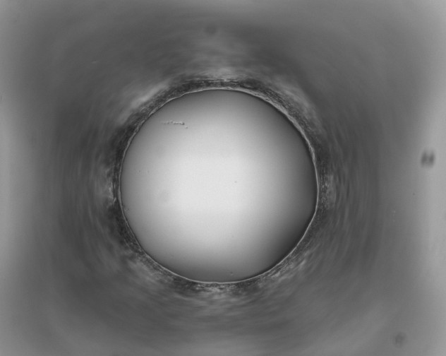 X0000096181205200802011334