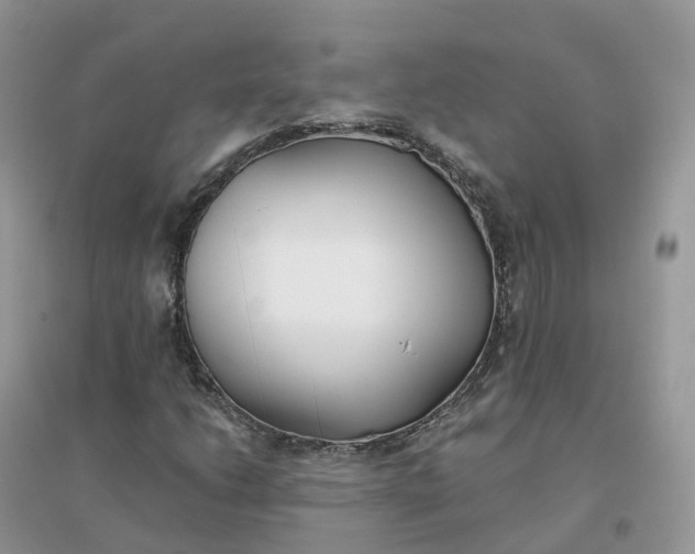 X0000096181206200802011334