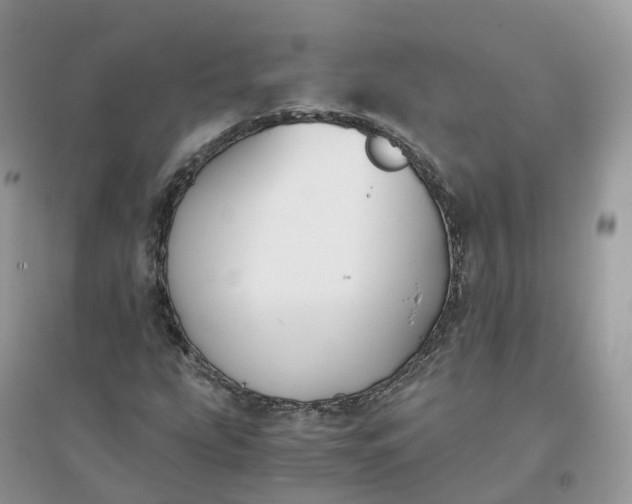 X0000096181207200802011334