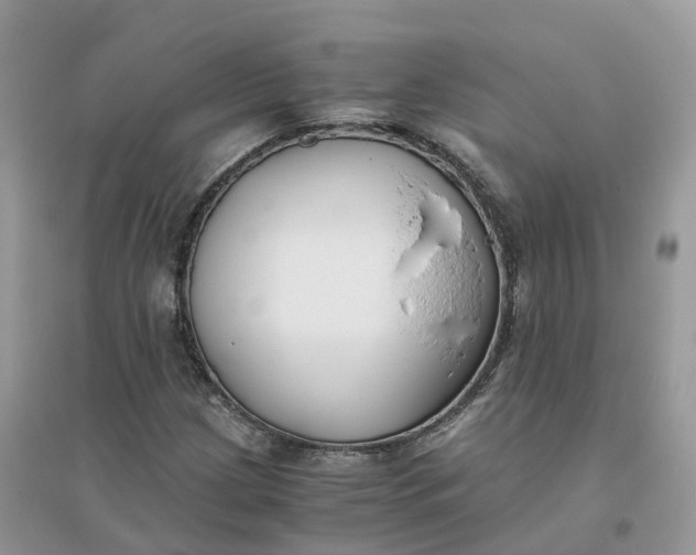 X0000096181209200802011334