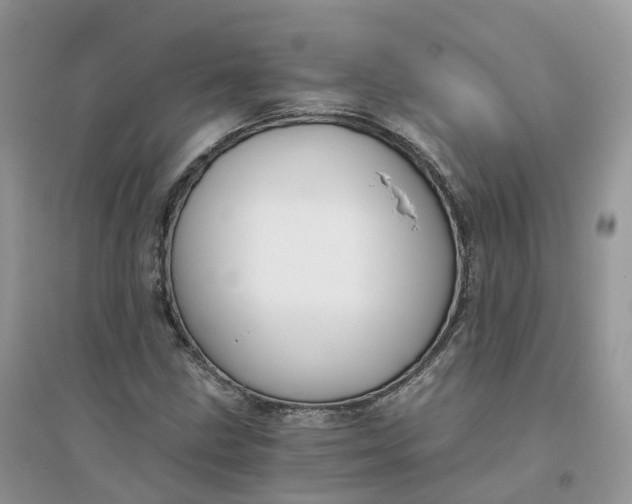 X0000096181211200802011334