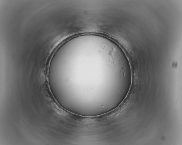 X0000096181212200802011334