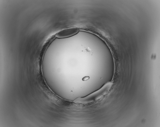 X0000096181214200802011334
