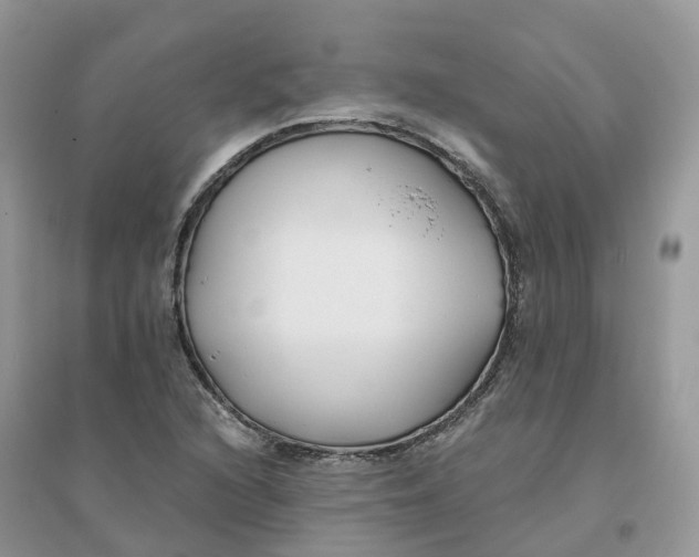 X0000096181216200802011334