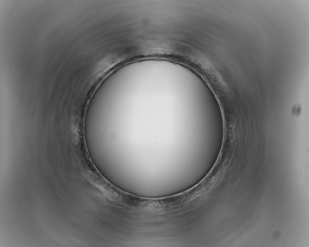 X0000096181217200802011334