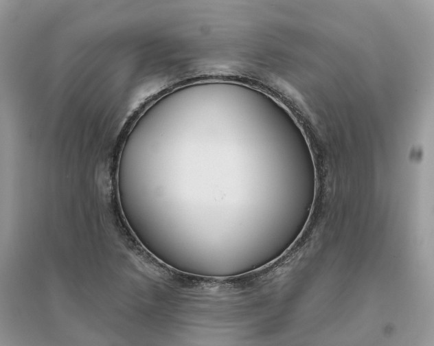 X0000096181218200802011334
