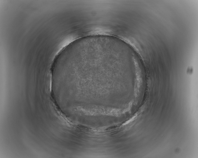 X0000096181219200802011334