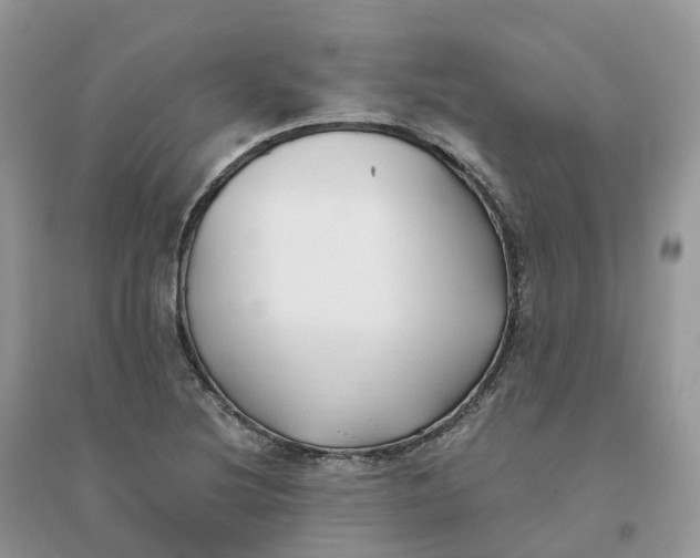X0000096181220200802011334