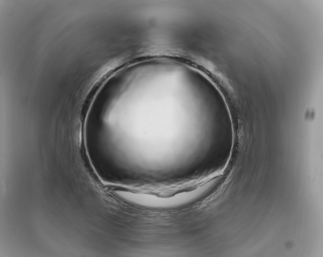 X0000096181221200802011334