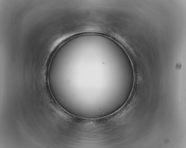 X0000096181222200802011334