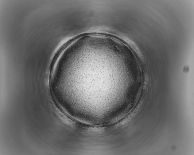 X0000096181224200802011334