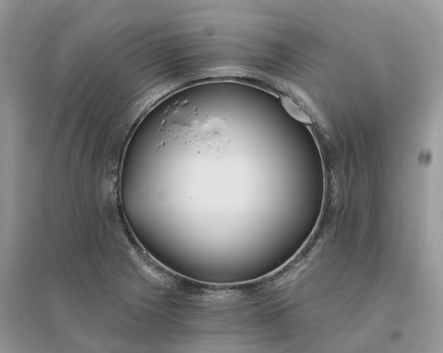 X0000096181225200802011334