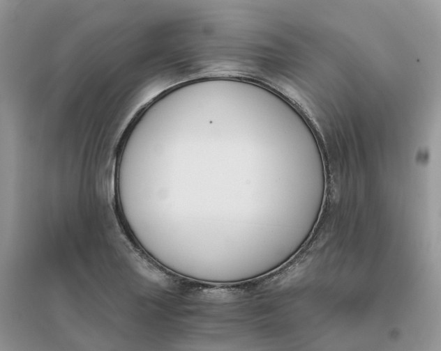 X0000096181227200802011334