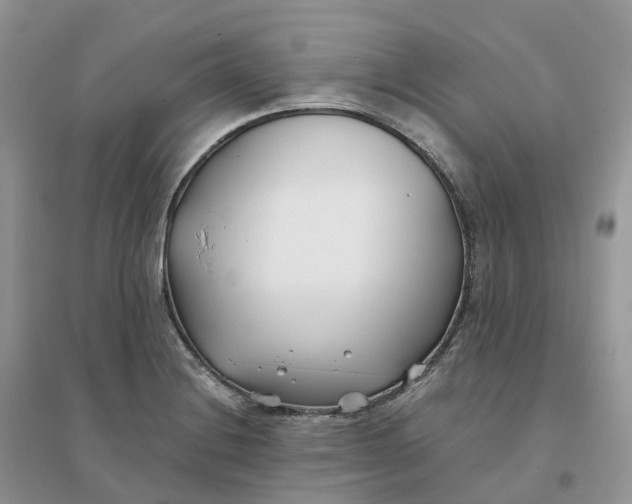 X0000096181228200802011334