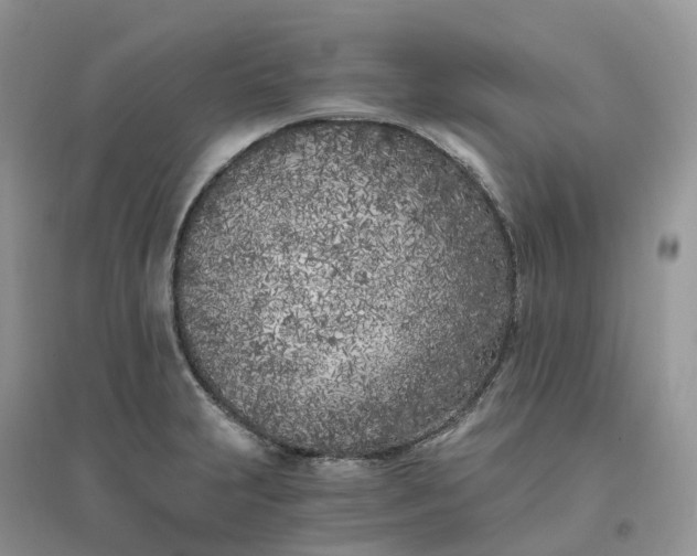 X0000096181231200802011334