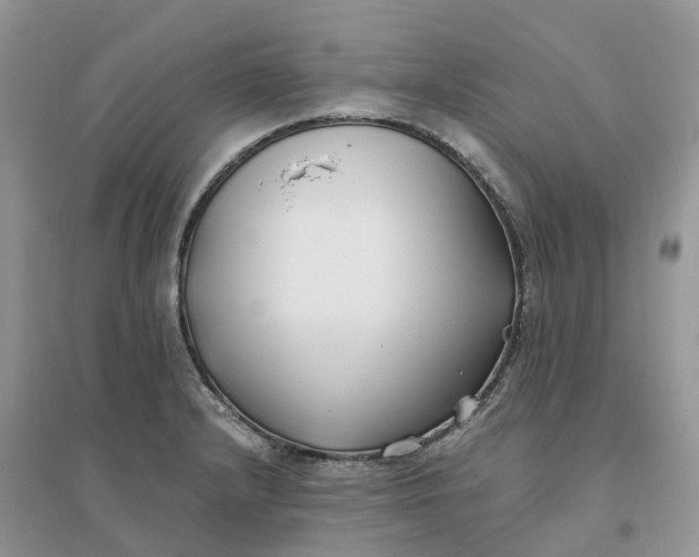 X0000096181232200802011334