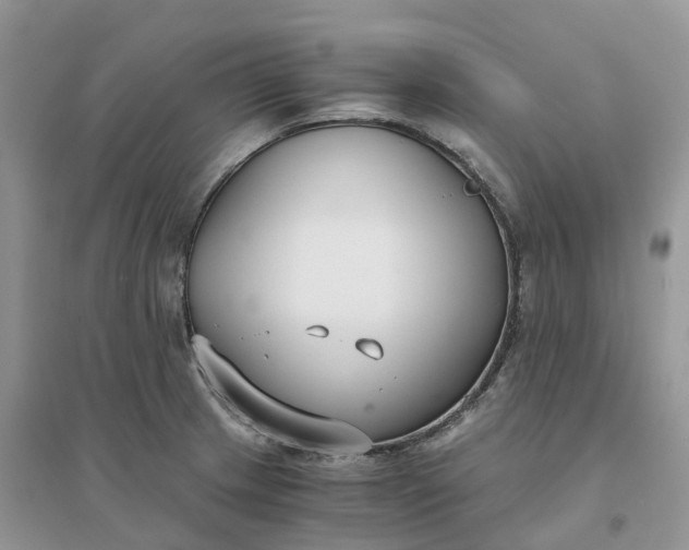 X0000096181233200802011334