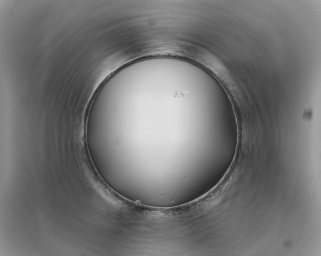 X0000096181234200802011334