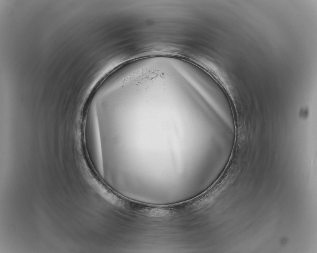 X0000096181235200802011334
