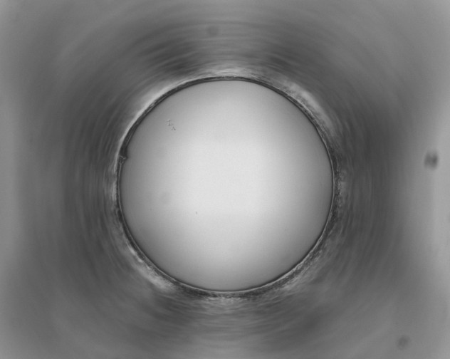 X0000096181236200802011334