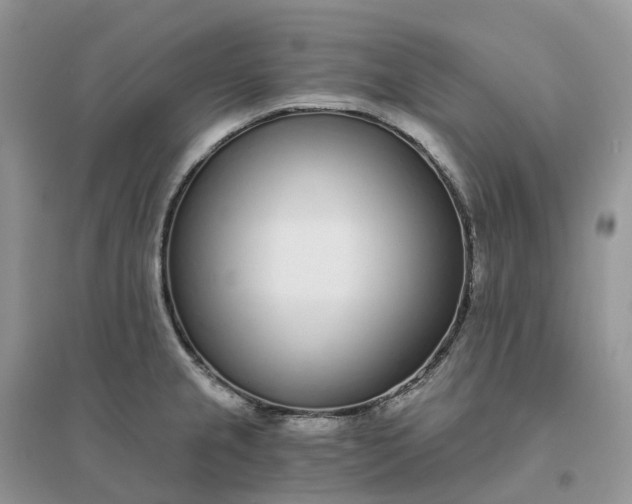 X0000096181237200802011334