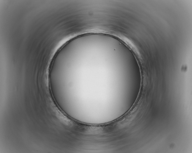 X0000096181238200802011334