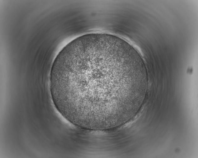 X0000096181239200802011334