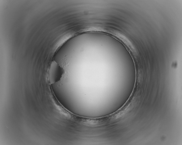 X0000096181241200802011334