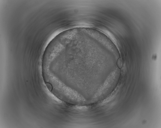 X0000096181243200802011334