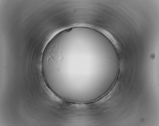 X0000096181244200802011334