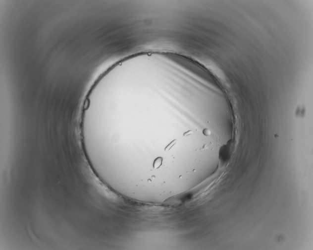 X0000096181248200802011334