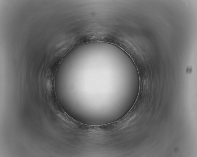 X0000096181250200802011334