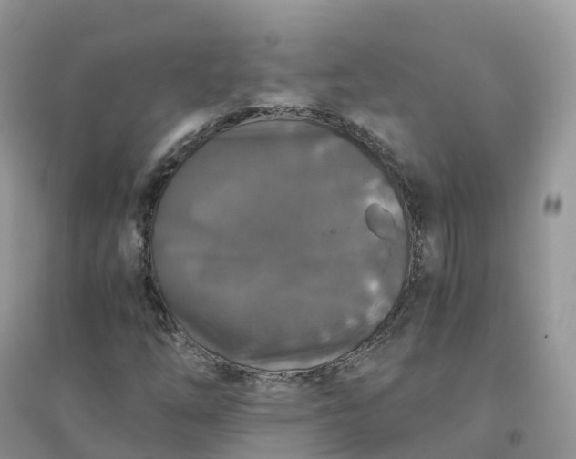 X0000096181254200802011334