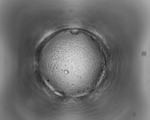 X0000096181255200802011334