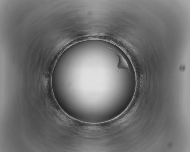 X0000096181257200802011334