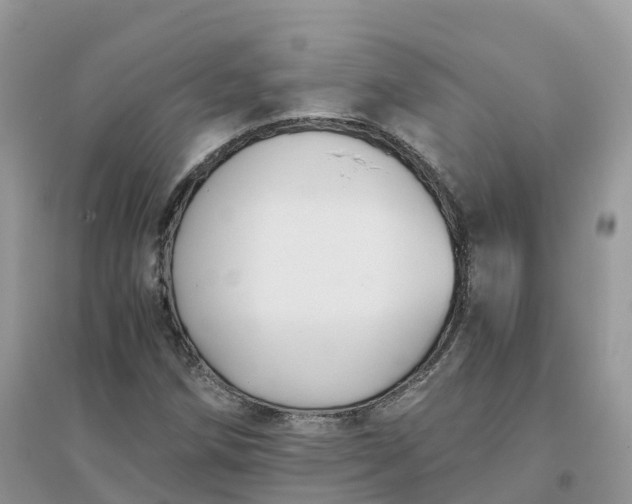 X0000096181258200802011334