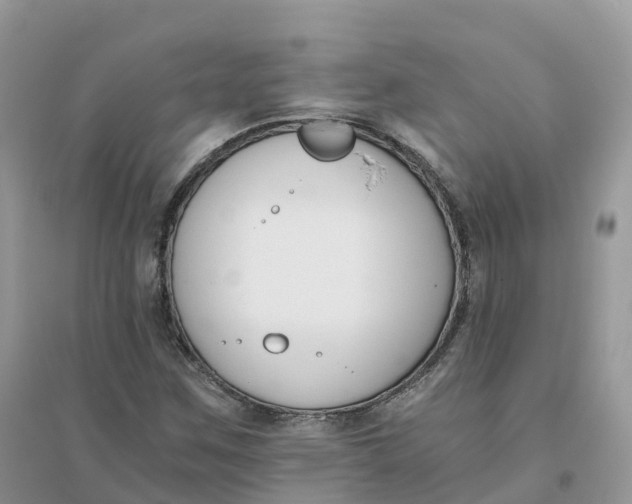 X0000096181259200802011334