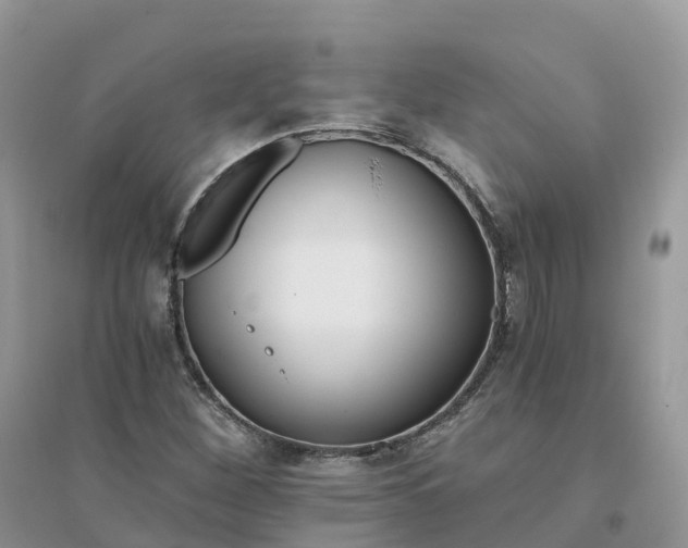 X0000096181260200802011334