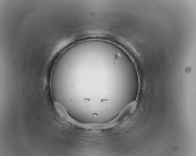 X0000096181261200802011334