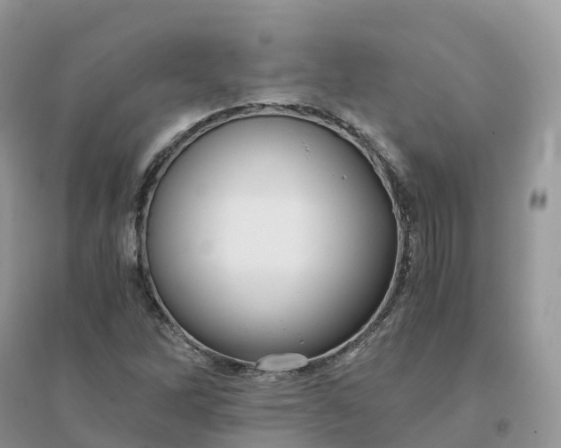 X0000096181262200802011334