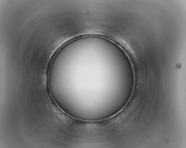 X0000096181268200802011334