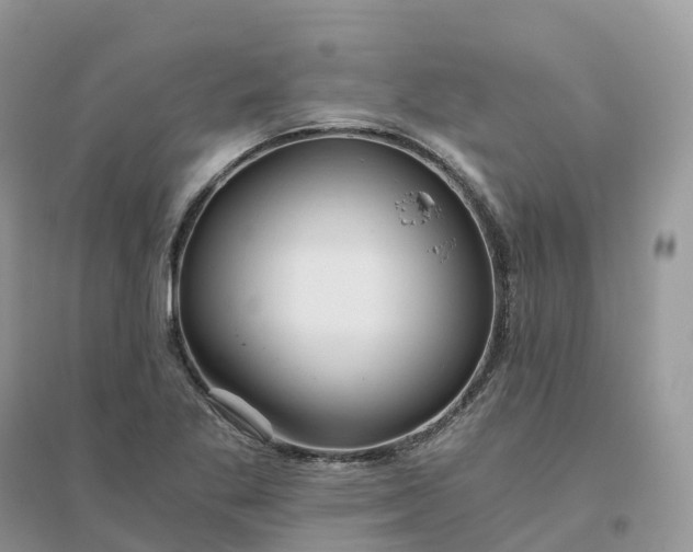 X0000096181269200802011334