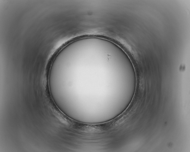 X0000096181270200802011333