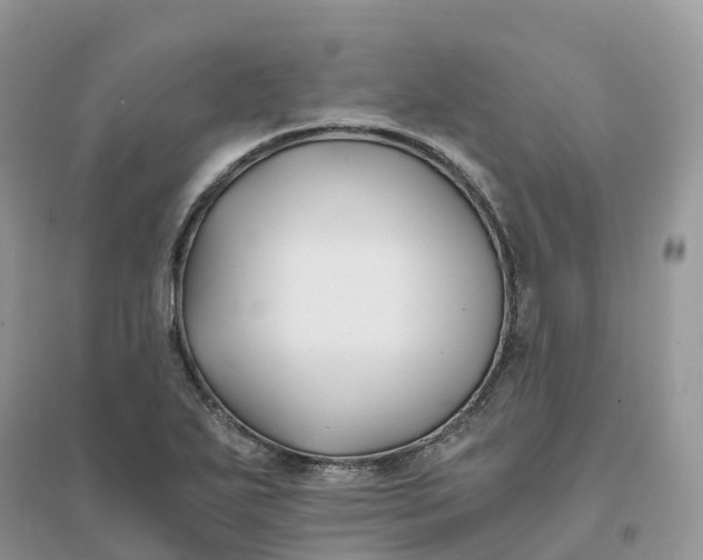 X0000096181271200802011333