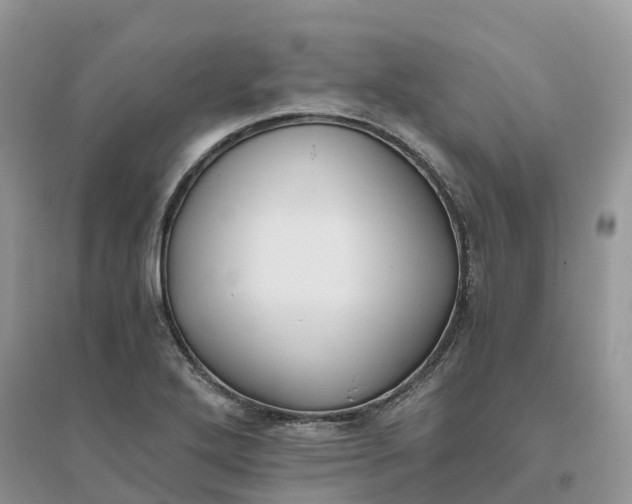 X0000096181272200802011333