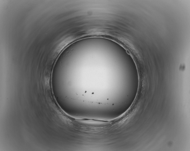 X0000096181273200802011333
